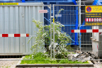 15. April 2024 - Salzwedeler Straße - Berlin Moabit