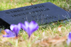 9. März 2025 - Dorotheenstädtischer Friedhof II, Berlin Wedding